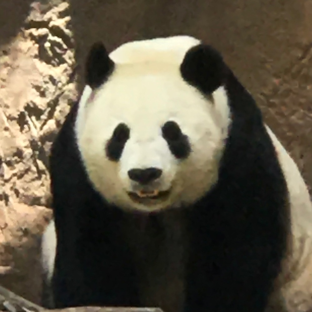 Meet your Posher, Onel